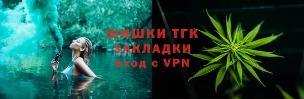 молекула духа Богородицк