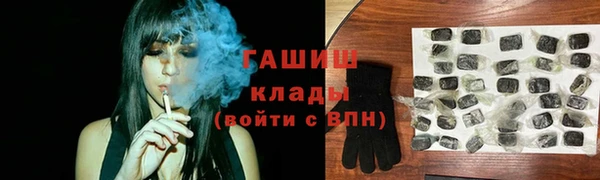 молекула духа Богородицк