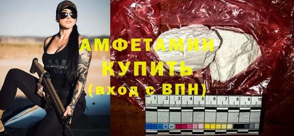молекула духа Богородицк