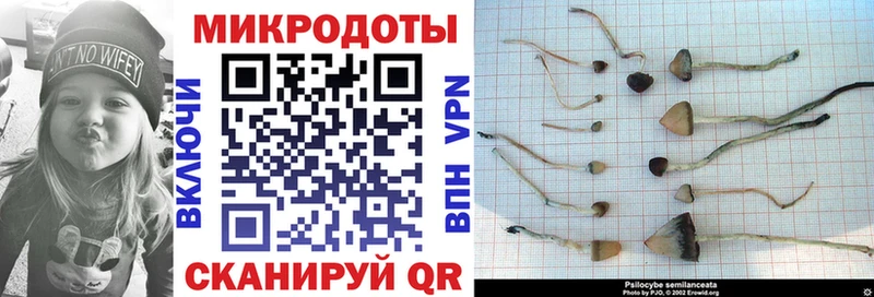 shop наркотические препараты Орск Псилоцибиновые грибы Cubensis